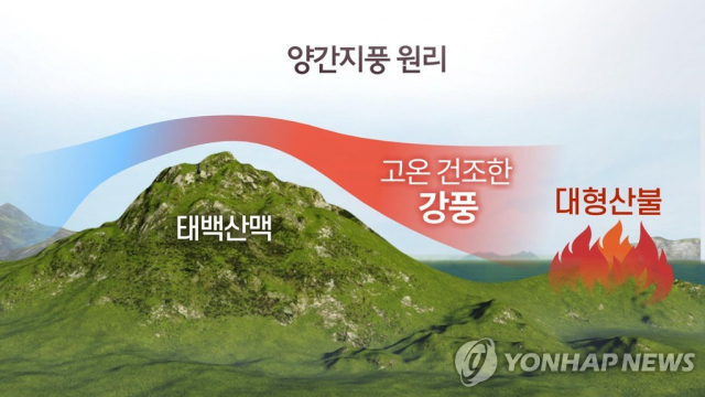 양간지풍 원리. 연합뉴스 그래픽