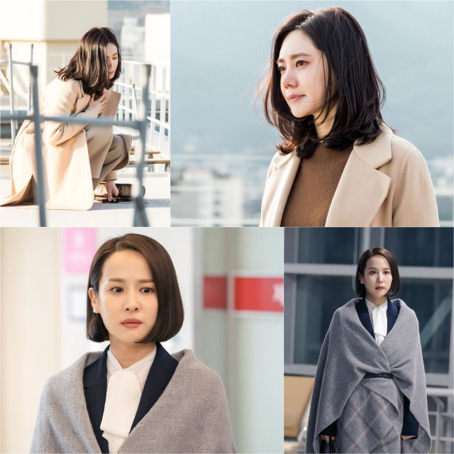 사진제공 = 아름다운 세상