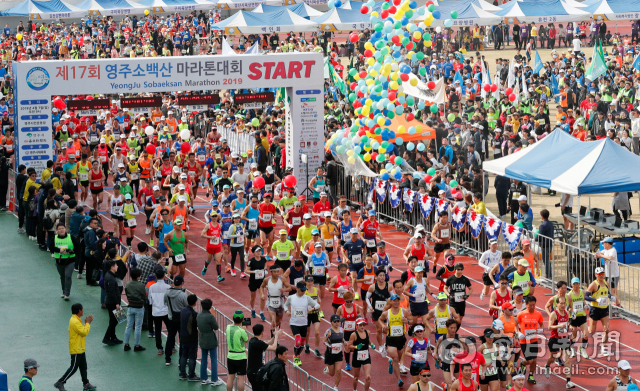 제17회 영주소백산마라톤대회가 7일 오전 영주 시내에서 열린 가운데 풀코스 참가 선수들이 영주시민운동장을 힘차게 출발하고 있다. 우태욱 기자 woo@imaeil.com
