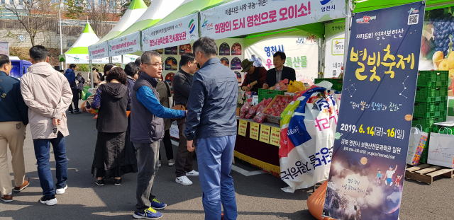 영천시 부스를 방문객들이 살펴보고 있다. 영천시 제공