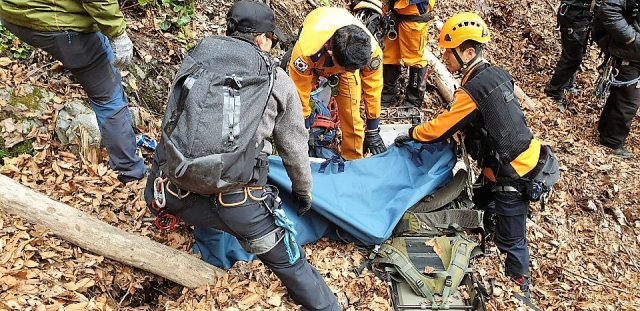 산나물을 캐러 나갔다가 실종된 고모(71)씨를 사흘만에 