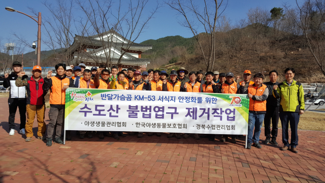 김천시가 동면에서 깨어난 반달가슴곰(KM-53)의 안정적인 활동을 지원하기 위해 수도산 일원의 불법엽구를 제거하는 작업을 진행했다. 김천시 제공