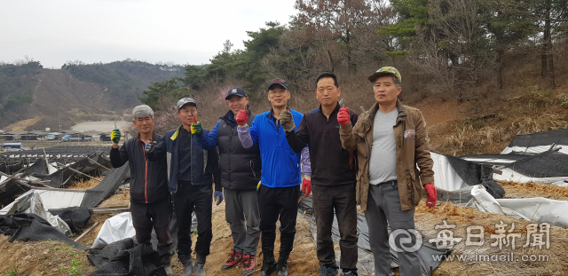 폭설로 쓰러진 인삼밭 복구작업을 하던 82동기회 회원들이 파이팅을 외치고 있다. 마경대 기자