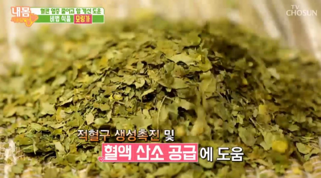 사진제공=내몸사용설명서 캡처