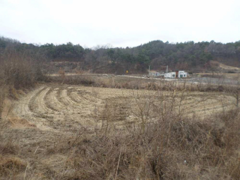 경북 예천군 호명면 백송리 밭