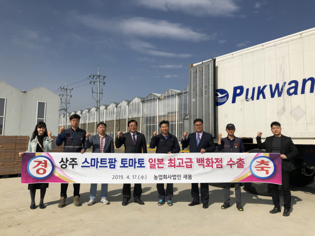 지난 17일 상주 유리온실에서 재배된 방울토마토가 일본 백화점으로 수출됐다. 방울토마토만 올해 수출 40억원이 예상된다. 상주시 제공