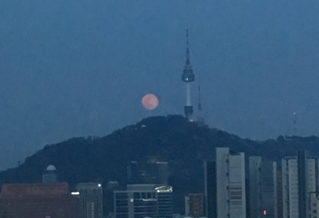핑크문. 트위터 @ilikethatilike