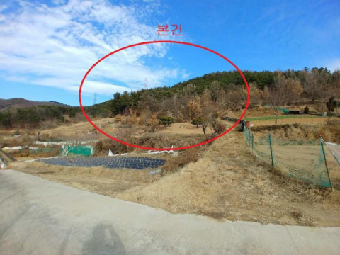 대구 달성군 유가읍 쌍계리 임야