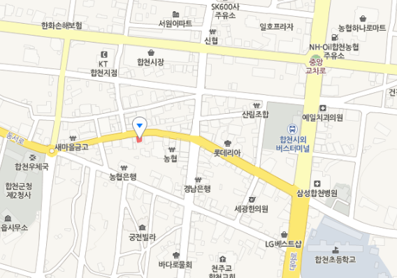 합천 쇠고기탕면+가지새우튀김 맛집 