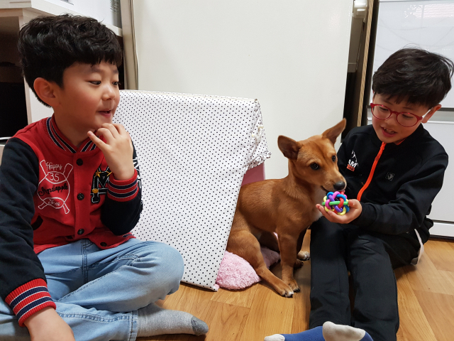 건우(오른쪽)-송우(왼쪽) 형제는 요즘 메주와 노는 시간이 가장 즐겁다. 강민호 기자