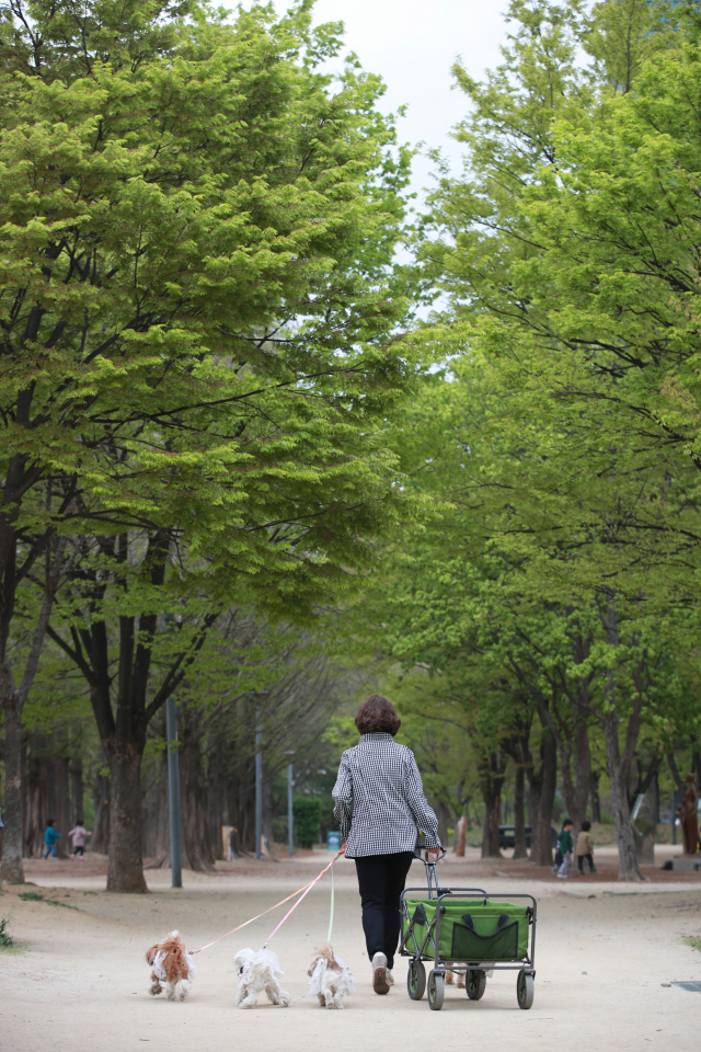 서울 성동구 서울숲. 연합뉴스
