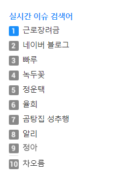 포털사이트 실시간 검색어 순위에 