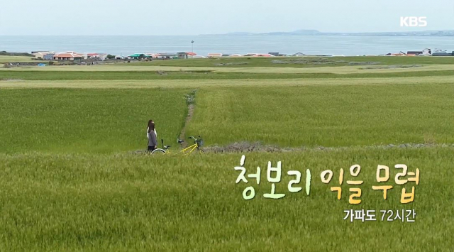 사진제공=KBS 다큐멘터리 3일