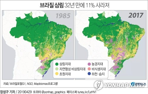남미대륙의 거의 절반을 차지하는 브라질에서 지난 1985년부터 2017년까지 30여년 사이에 전체 삼림의 11%가 사라진 것으로 나타났다. 연합뉴스 연합뉴스