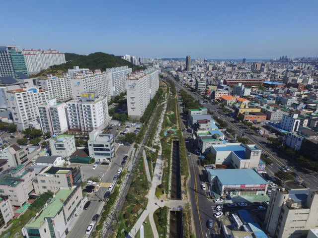 포항의 도시숲 전경. 포항시 제공