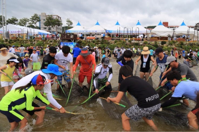 은어축제에 참가한 관광객들이 반두잡이 체험을 하고 있다.