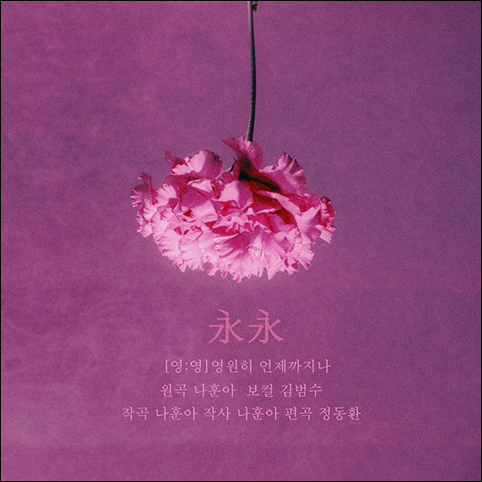 영 엔터테인먼트 제공