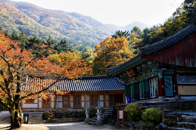사명대사가 승군을 훈련시켰다는 운흥사는 호국사찰이다. 대웅전의 목조아미타여래삼존좌상이 보물 제1814호로 지정돼 있다. 달성군 제공