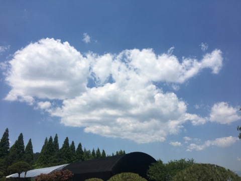 경상북도산림환경연구원. 매일신문 디지털국