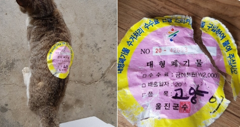 길고양이 몸에 붙어있던 폐기물 스티커. 품목에 