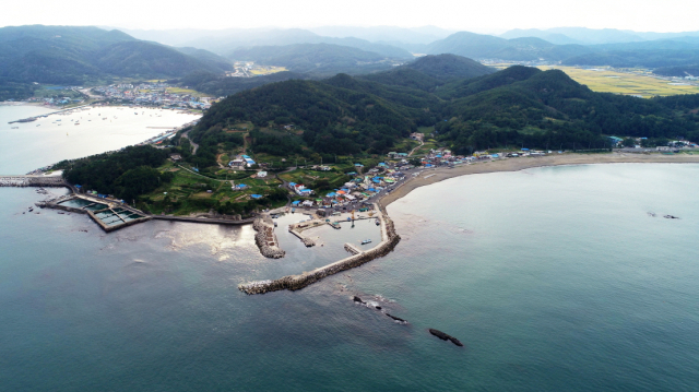 어촌의 색다른 변신으로 관광객의 관심을 끄는 포항시 장기면 신창리 어촌마을 전경. 포항시 제공