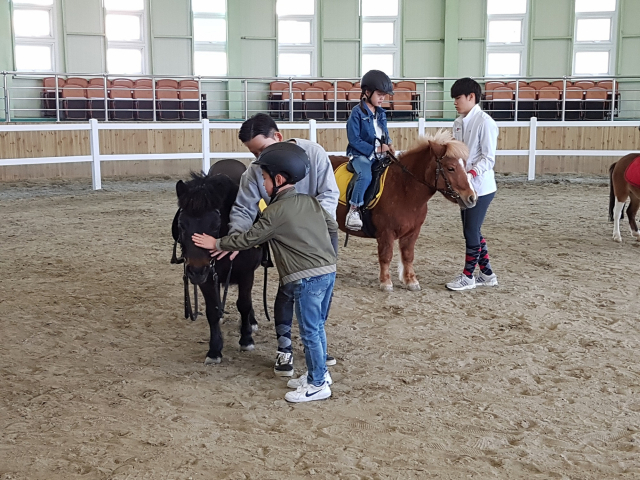 영천중앙초 늘품승마단 학생들이 영천시 운주산승마장에서 학생승마체험을 하고 있다. 영천시 제공