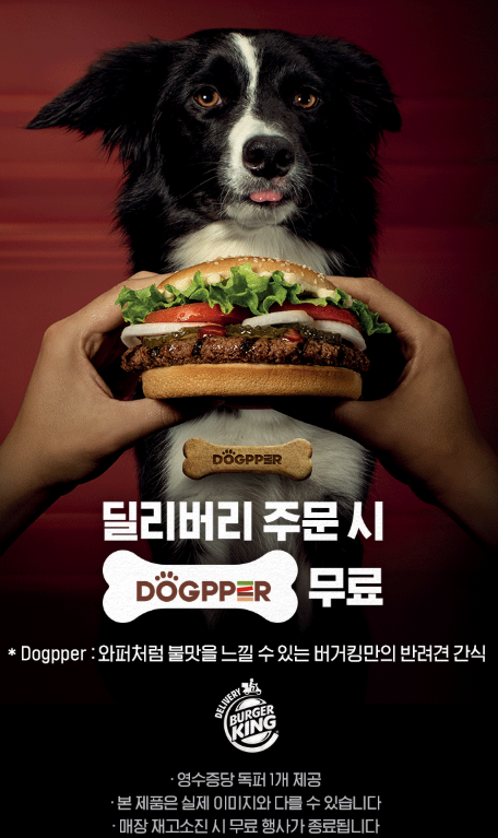 사진 버거킹 제공.