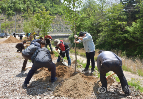 남부지방산림청은 15일 울진군 금강송면 소광리 금강송펜션 일대에서 