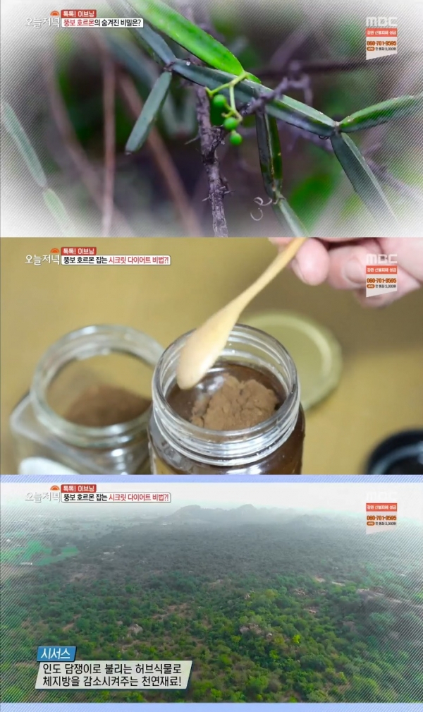 MBC 