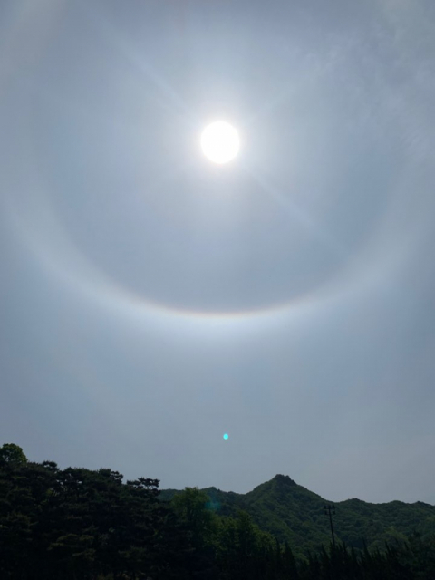 17일 오전 10시경 대구에서 해무리가 관측된 가운데 해무리를 찍은 사진에서 