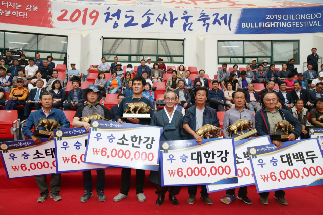 17일 청도소싸움경기장에서 열린 전통민속소싸움대회 시상식에서 체급별로 우승한 싸움소들의 우주들이 우승트로피와 우승상금이 적힌 폼보드를 들어 보이고 있다. 청도군 제공