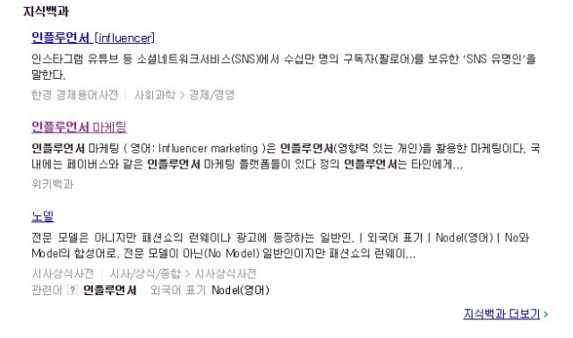 20일 인플루언서가 포털 사이트 실시간 검색어 상위권에 등장하는 등 화제다. 네이버 검색 화면 캡처