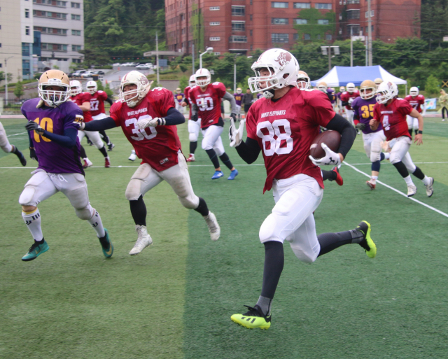 지난 19일 경주 동국대에서 열린 제28회 대구경북 미식축구 춘계 대학리그 동국대와 금호공대의 경기에서 동국대 러닝백 김태성(88)이 금오공대의 측면을 호쾌하게 돌파하고 있다. 대구경북미식축구협회 제공