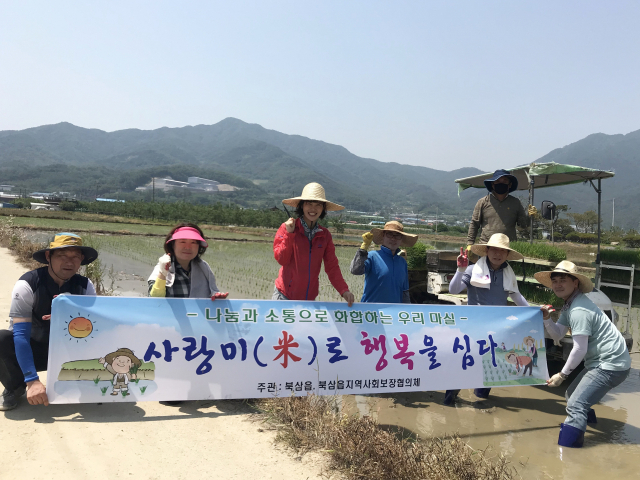 칠곡군 제공