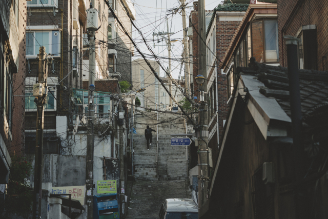 영화
