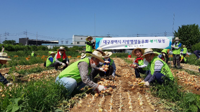 대구행정동우회봉사단은 6월 5일 50여명이 달성군 하빈면 하산리 일원 농가에서농촌일손돕기를 위해 양파캐기(약1,000평) 봉사를 했다.