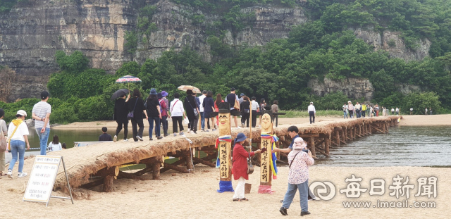 경북 안동 하회마을 섶다리를 이용하는 관광객들이 증가하면서 안동시가 한시적으로 운영할 계획이던 섶다리의 영구 존치 대책 마련에 나섰다. 14일 하회마을 만송정에서 강 건너 옥연정사 앞 모래사장 사이에 개통된 섶다리. 안동시 제공