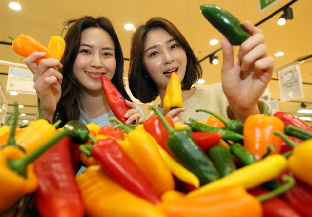 출처: 연합뉴스