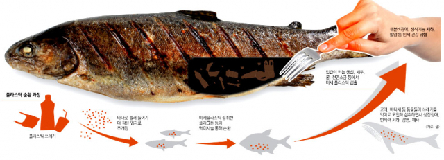 플라스틱 생수병.수도박물관
