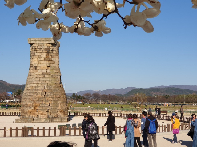 화창한 날씨를 보인 24일 관람객들이 목련이 핀 경주 첨성대를 둘러보고 있다. 연합뉴스
