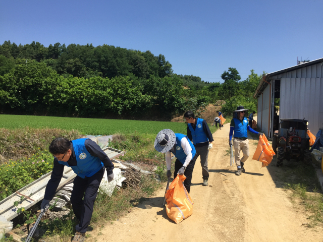 지난 25일 경상북도개발공사 직원들이 경북도청 신도시 일원에서 환경정화 봉사활동을 펼치고 있다. 경북개발공사 제공