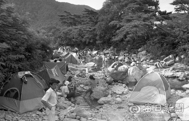 1983년 여름 포항 내연산 보경사 계곡이 피서객들의 텐트로 가득하다. 매일신문 DB