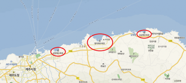 제주도 함덕해수욕장 위치(가운데 큰 원). 네이버 지도