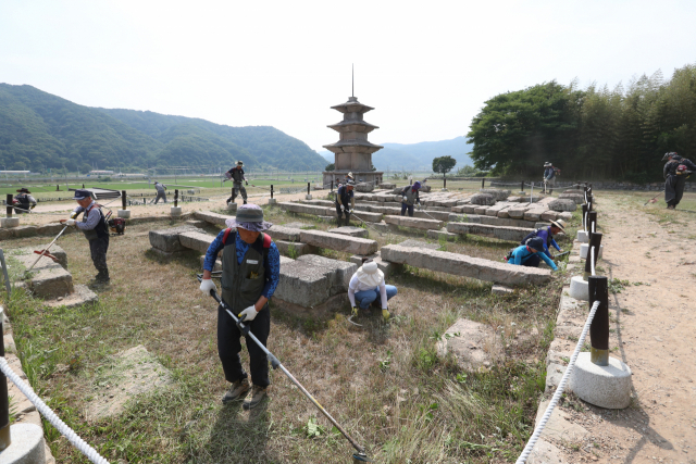 경북남부문화재돌봄사업단이 감은사지 동·서삼층석탑(국보 제112호) 일원에서 제초작업을 하고 있다. (사)신라문화원 제공