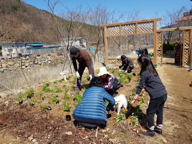 숲속전원마을 주민들이 이른 봄 텃밭을 가꾸고 있다. 어른들은 물론 아이들까지 함께 텃밭을 가꾼다.