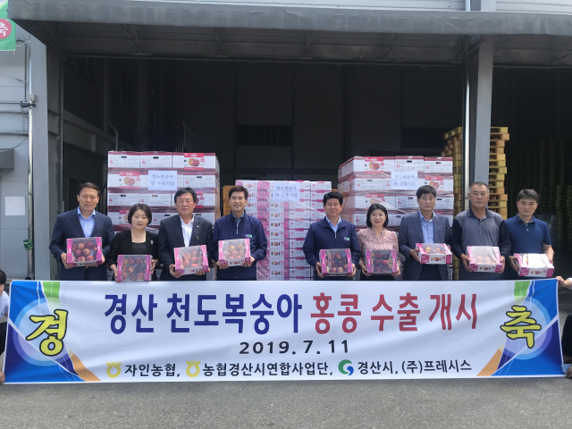 경산에서 생산되는 천도복숭아가 홍콩으로 수출하기 위해 11일 첫 수출 선적식을 가졌다.