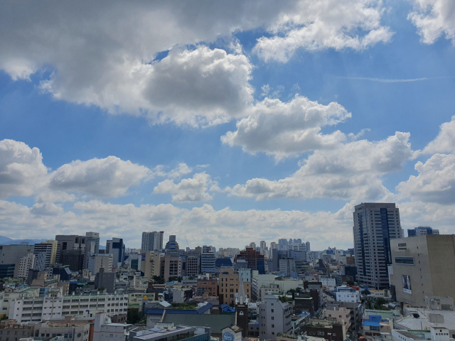 12일 초복을 맞은 대구의 청명한 하늘이 보는 이의 마음까지 화창하게 만들었다. 사진 매일신문 독자서비스국 이광우