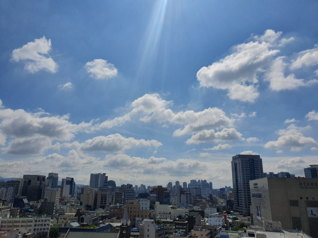 12일 초복을 맞은 대구의 청명한 하늘이 보는 이의 마음까지 화창하게 만들었다. 사진 매일신문 독자서비스국 이광우