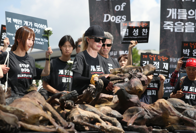 초복인 12일 서울 여의도 국회 앞에서 개도살금지공동행동 주최로 열린 개 도살 반대 집회에서 동물권 운동가로 알려진 헐리우드 배우 킴 베이싱어가 희생된 강아지 형상의 모형을 두고 장례 퍼포먼스를 하고 있다. 연합뉴스