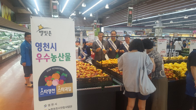 지난 12~14일 농협 울산유통센터에서 진행된 영천지역 특산 과일 특판행사 모습. 농협 영천시지부 제공